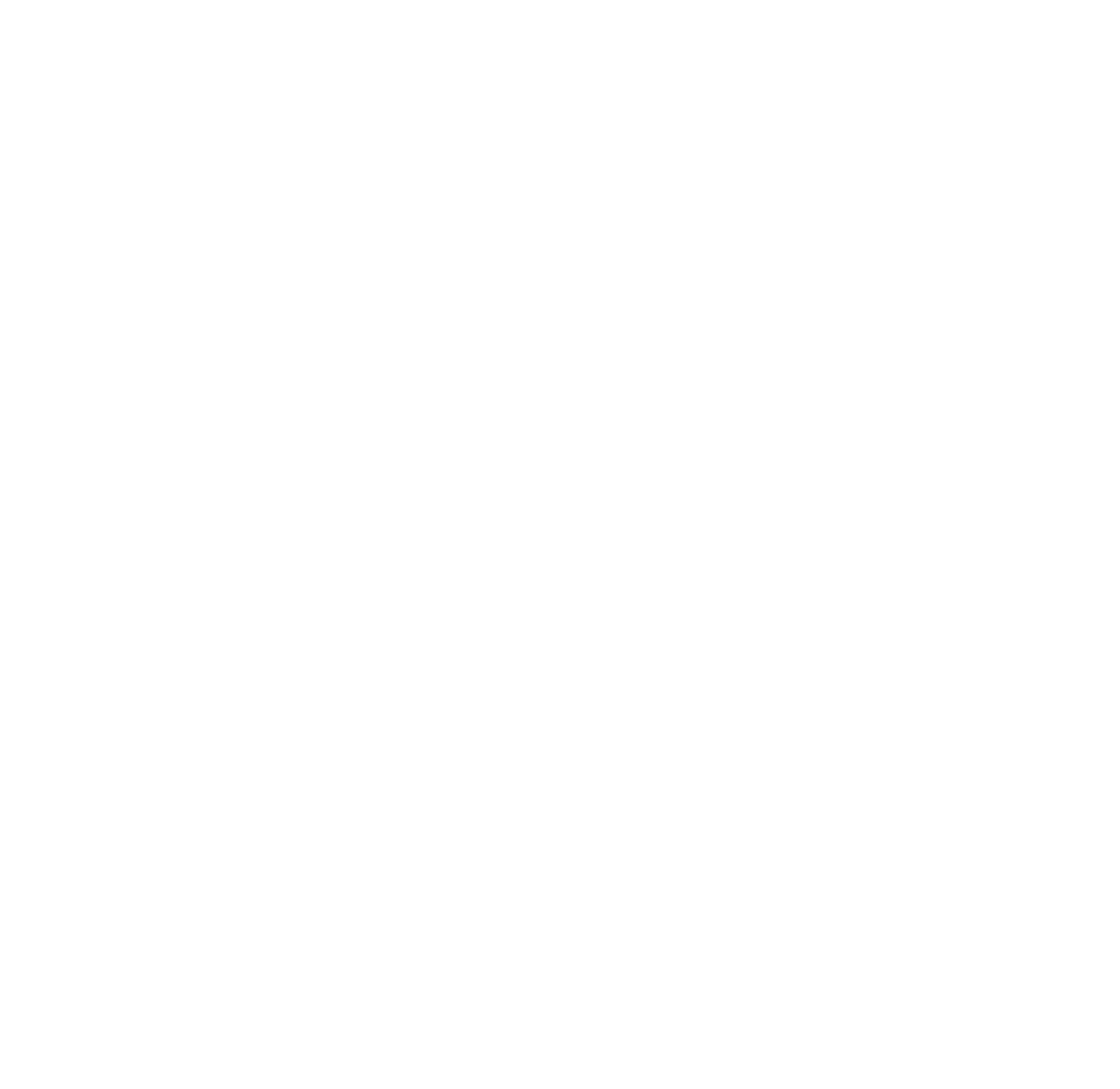 EcoBag